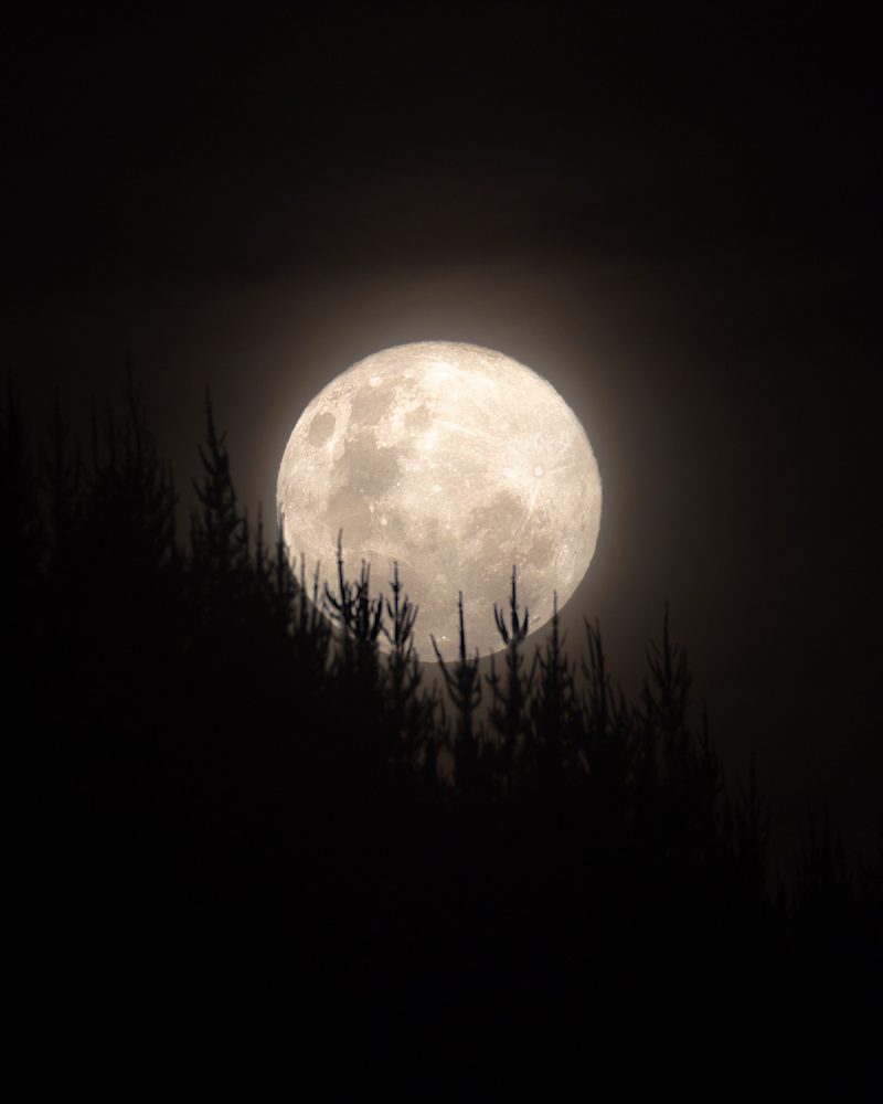 Luna llena