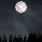 Luna lena